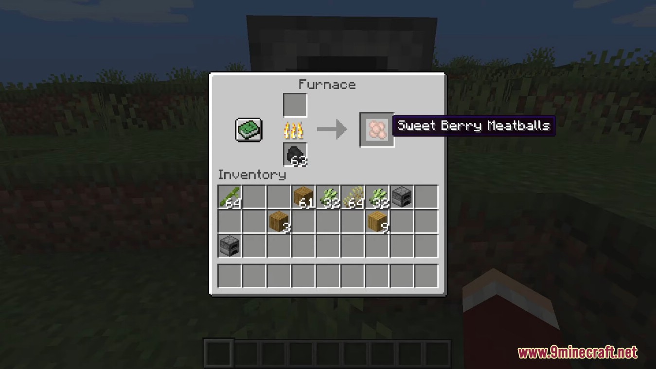 Berry Good Mod (1.19.2, 1.18.2) - Improve Berries in Simple Ways 8