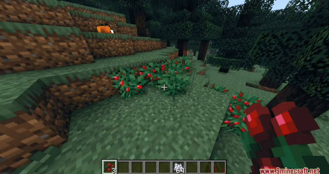 Berry Good Mod (1.19.2, 1.18.2) - Improve Berries in Simple Ways 2