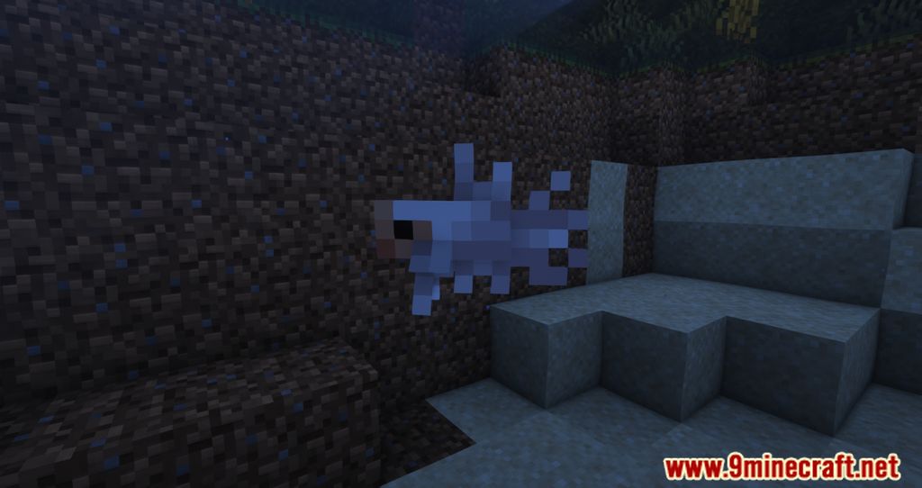 Bettas Mod (1.19.3, 1.18.2) - Fishy Lurking The Ocean 4