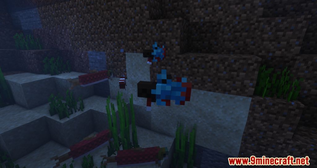 Bettas Mod (1.19.3, 1.18.2) - Fishy Lurking The Ocean 3