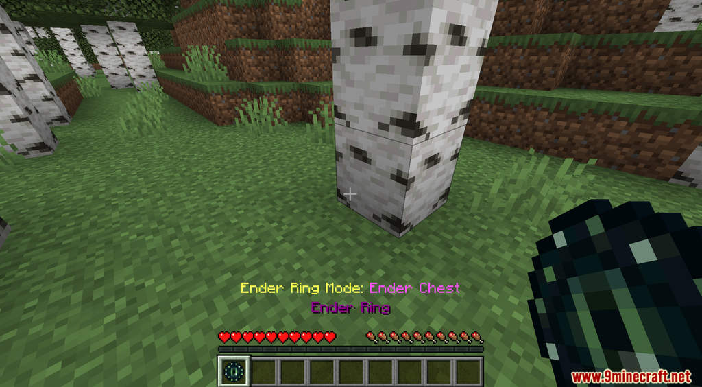 Ender Ring Data Pack (1.18.2, 1.17.1) - Portable Blocks 5