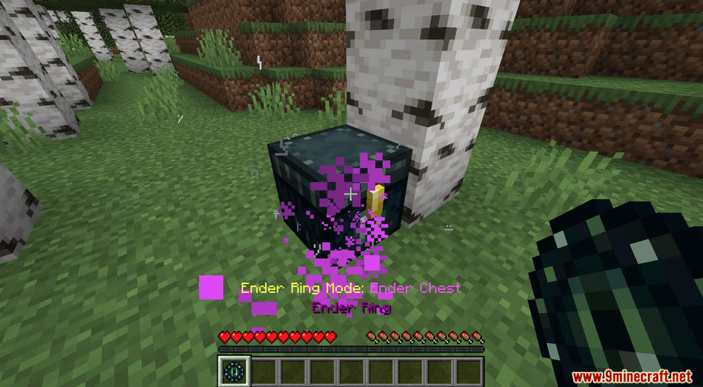 Ender Ring Data Pack (1.18.2, 1.17.1) - Portable Blocks 6