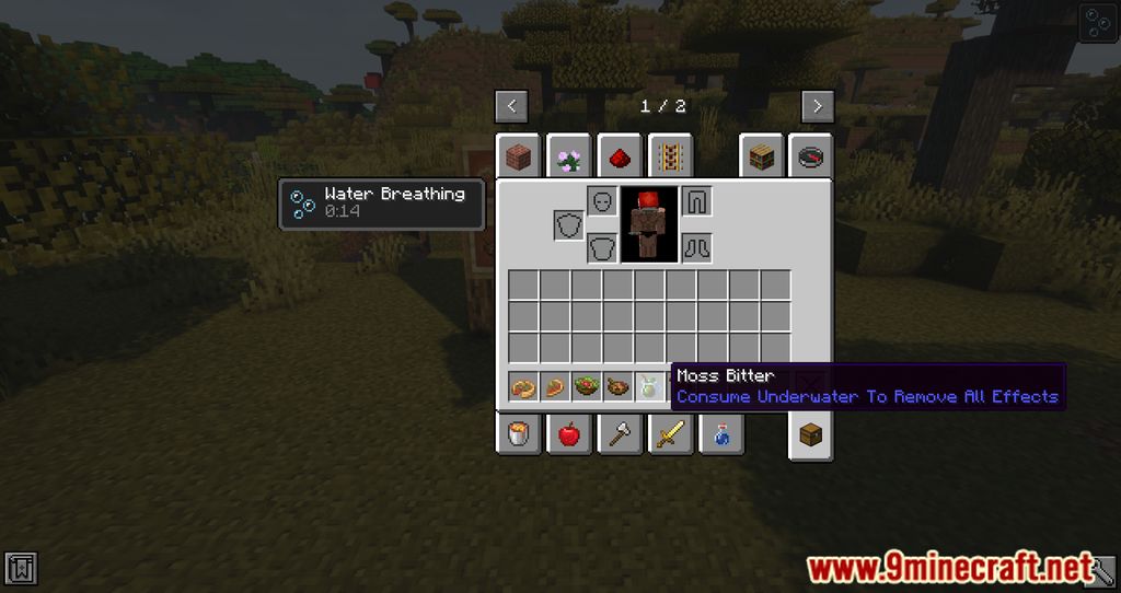 Fishy Delight Mod (1.16.5) - A Bunch Of Fish Was Added 4
