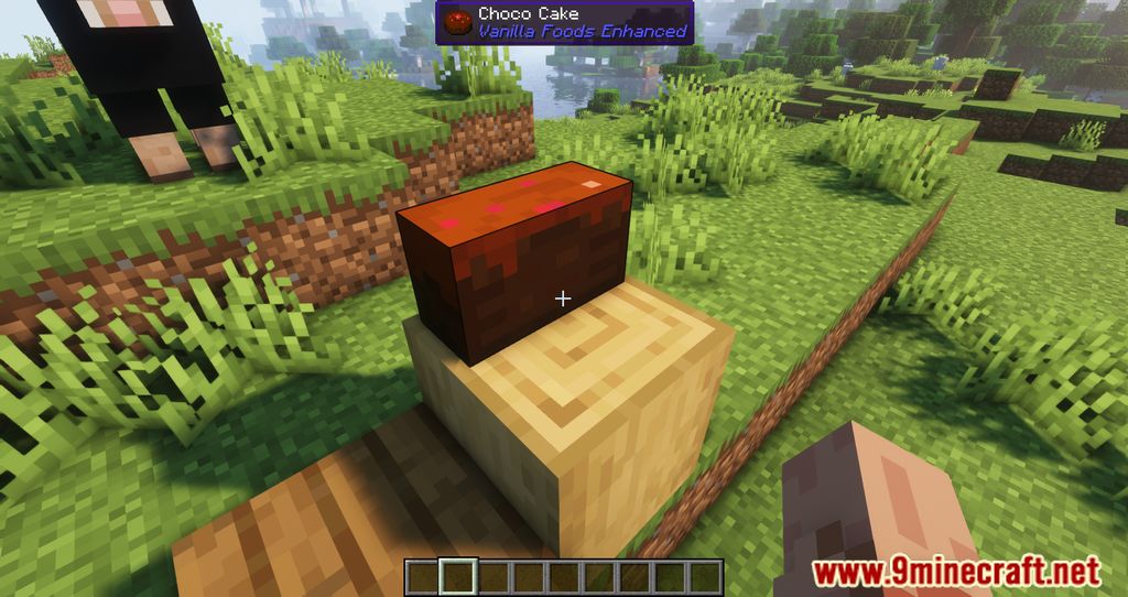 Foods Enhanced Mod (1.19.3, 1.18.2) - New Edibles to consume 3