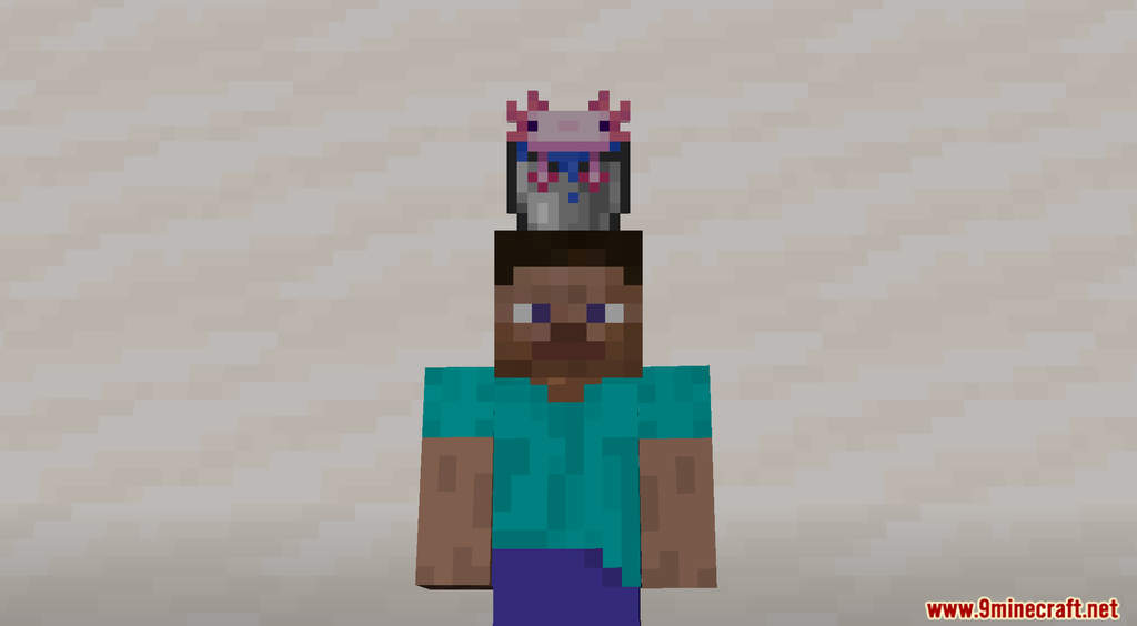 Hats Data Pack (1.18.2, 1.17.1) - Wears anything as a Hat 12