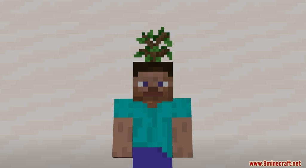 Hats Data Pack (1.18.2, 1.17.1) - Wears anything as a Hat 13