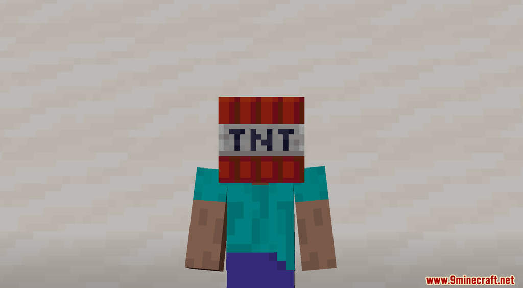 Hats Data Pack (1.18.2, 1.17.1) - Wears anything as a Hat 8