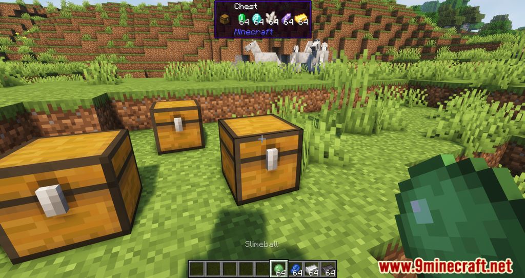 Megane Mod (1.20.1, 1.19.2) - Acquire Information Better 11