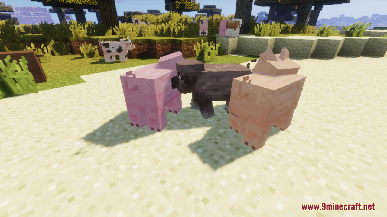 Remodeled Pigs Resource Pack (1.20.6, 1.20.1) - Texture Pack 7