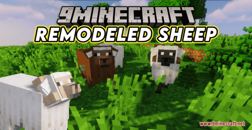 Remodeled Sheep Resource Pack (1.20.6, 1.20.1) – Texture Pack Thumbnail