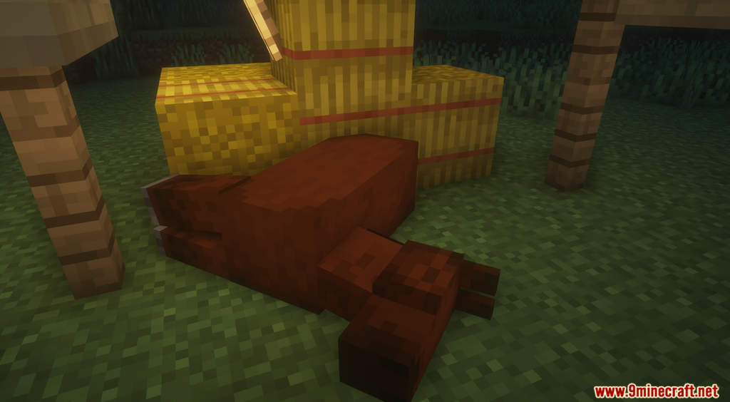 Sleeping Mobs Data Pack (1.20.6, 1.20.1) - A Good Night's Sleep for Every Creatures 7