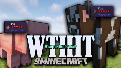 WTHIT Mod (1.20.4, 1.19.4) – Better Understanding of Minecraft Thumbnail