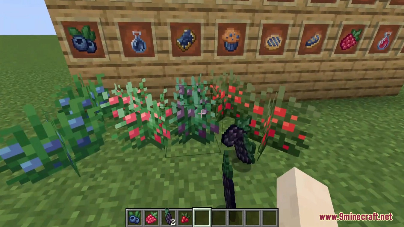 Wildberries Mod (1.19.2, 1.18.2) - Berry Releated Food Items 7