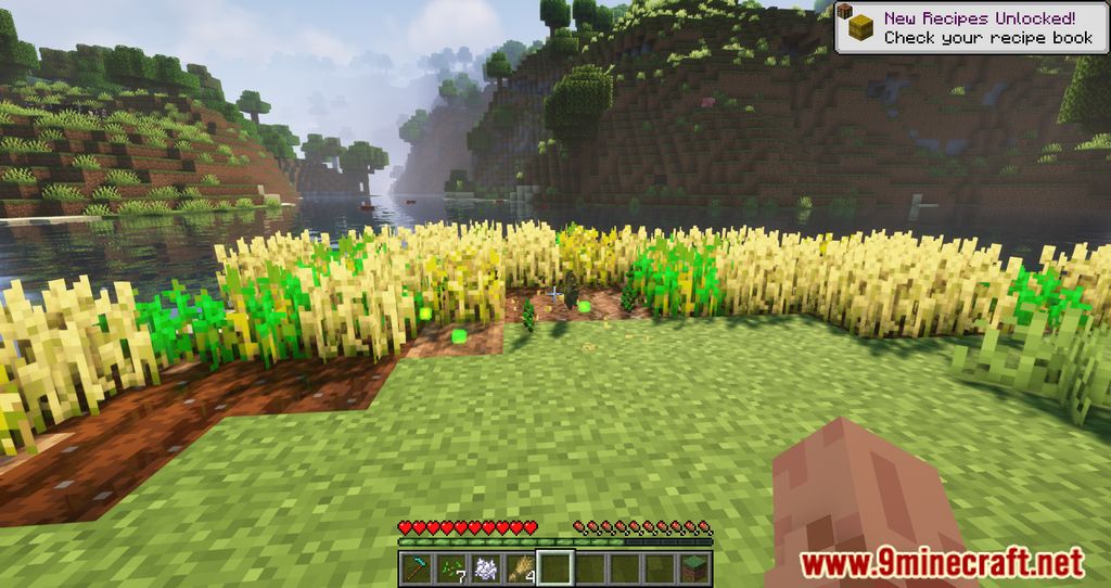 XP From Crops Mod (1.19.2, 1.18.2) - Gaining XPs from Farming 3