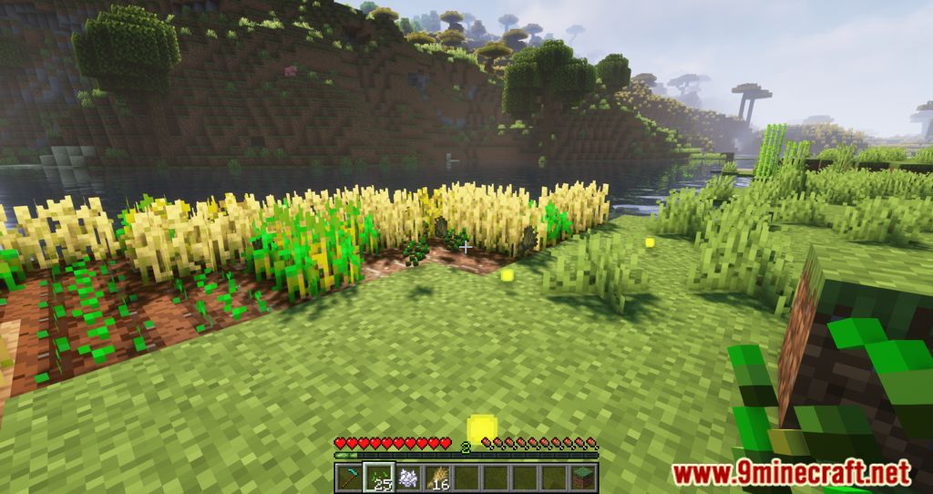 XP From Crops Mod (1.19.2, 1.18.2) - Gaining XPs from Farming 7