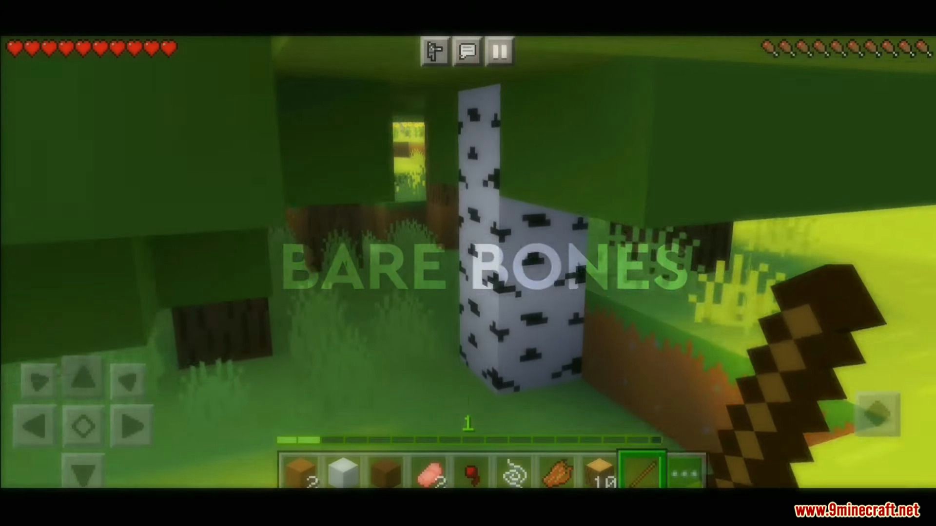 Bare Bones Texture Pack (1.19, 1.18) for MCPE/Bedrock Edition 2