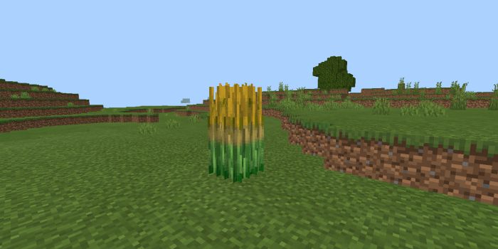 More Food Addon (1.19, 1.18) - MCPE/Bedrock Mod 2