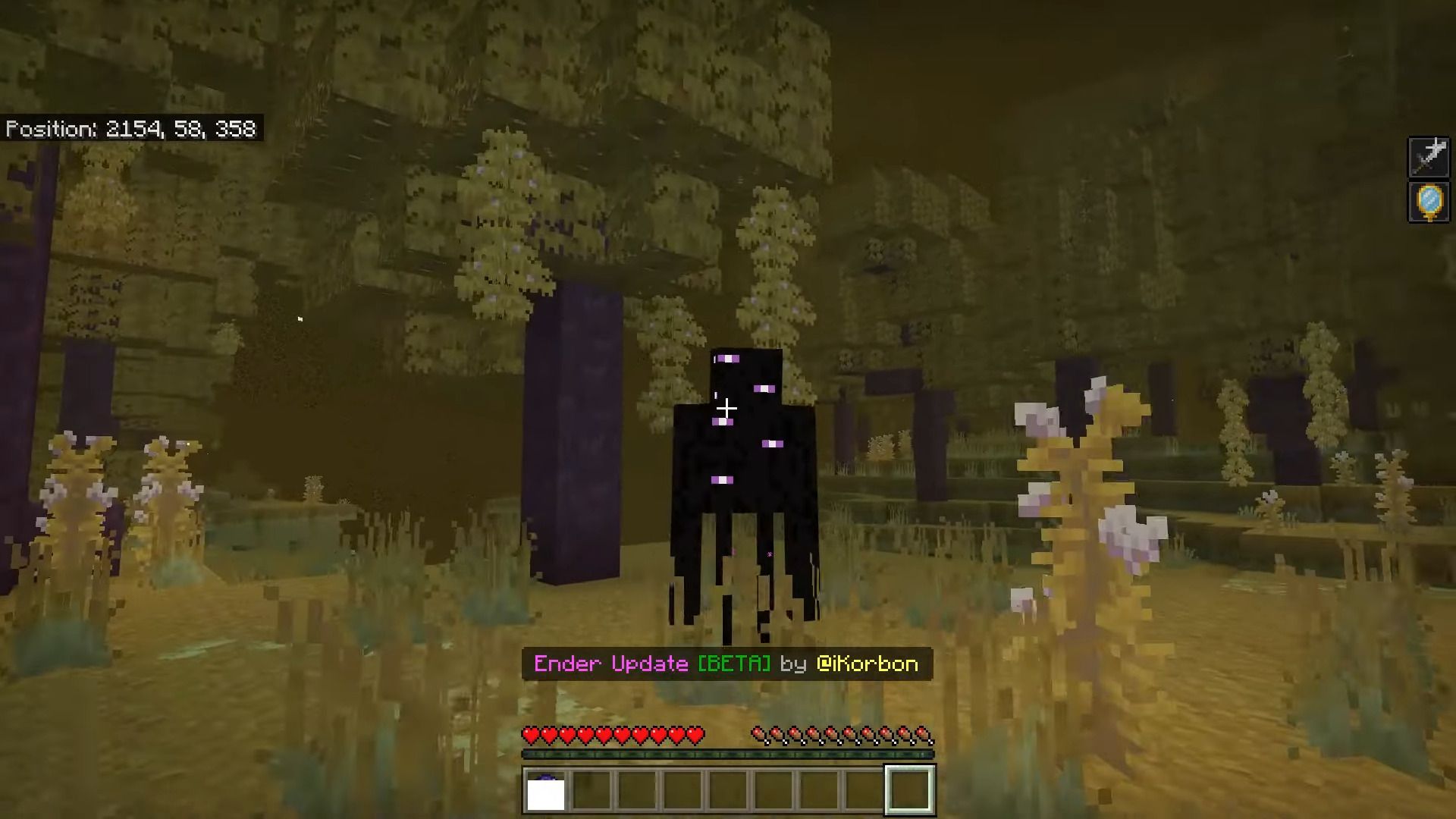 Ender Awakening Addon (1.20, 1.19) - MCPE/Bedrock Mod 15