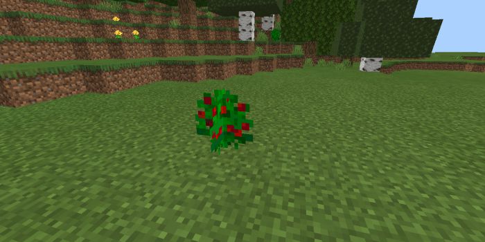 More Food Addon (1.19, 1.18) - MCPE/Bedrock Mod 3