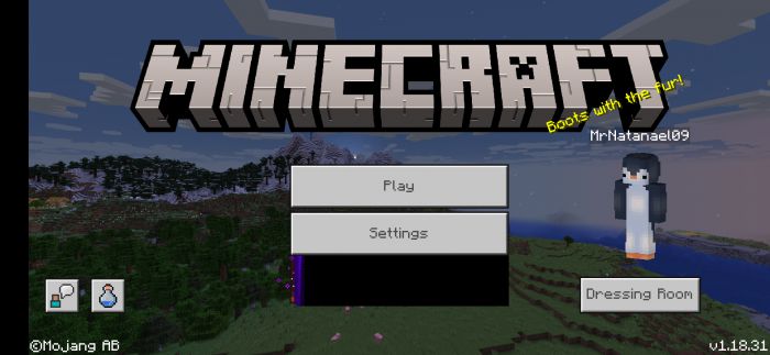 Block - Geo Fixer Addon (1.19, 1.18) - Realms Fix 6