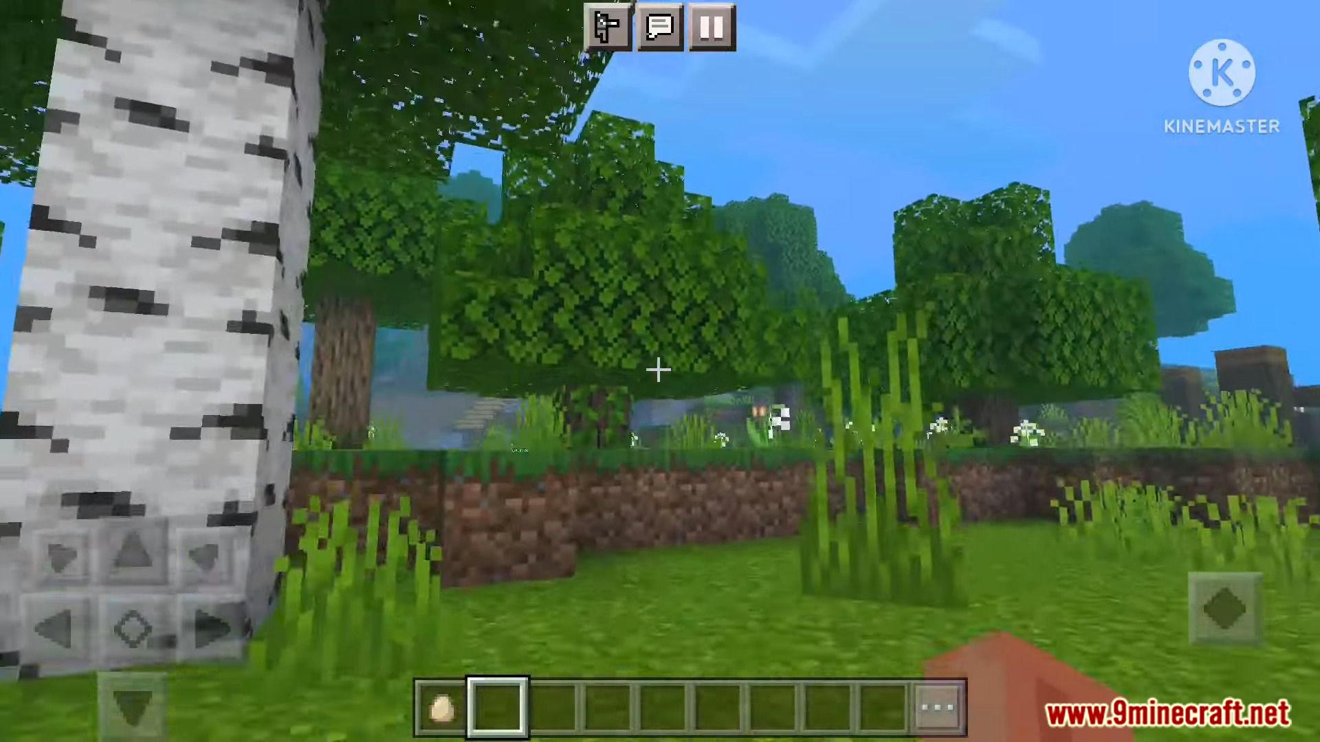 HYRD Graphic Shaders (1.20, 1.19) - Support RenderDragon, All Devices 9