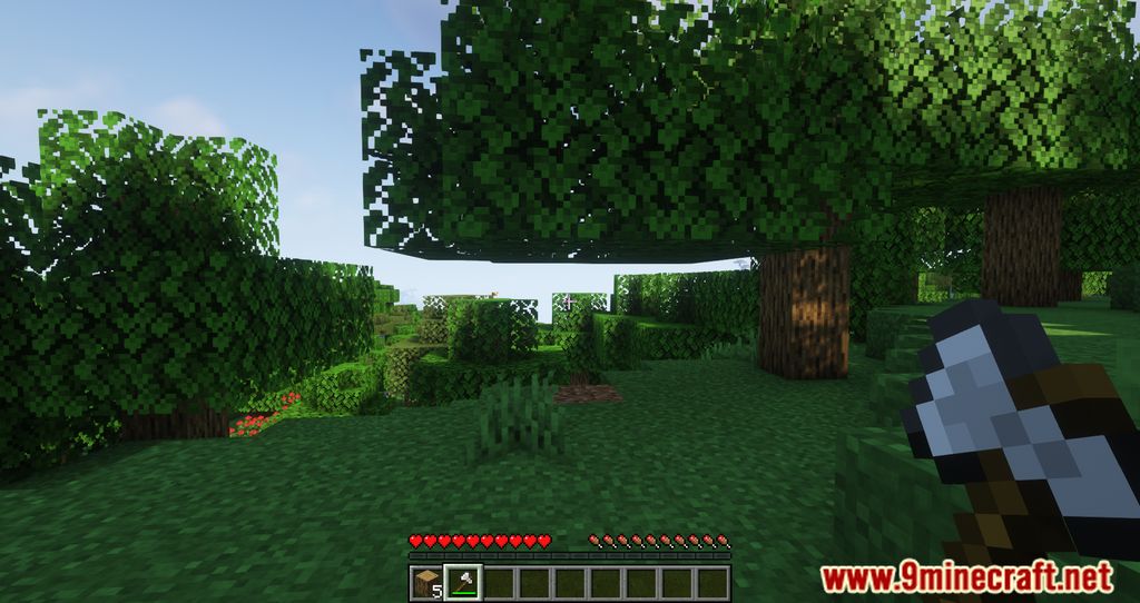 Auto Planting Forests Mod (1.20.1, 1.19.4) - Introduces Automatic Tree Replanting 3