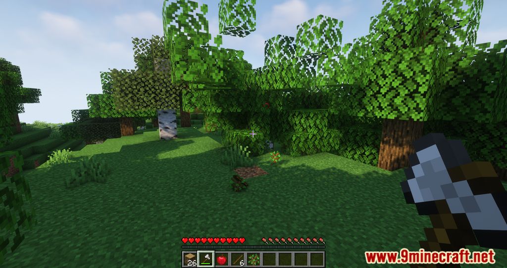 Auto Planting Forests Mod (1.20.1, 1.19.4) - Introduces Automatic Tree Replanting 6