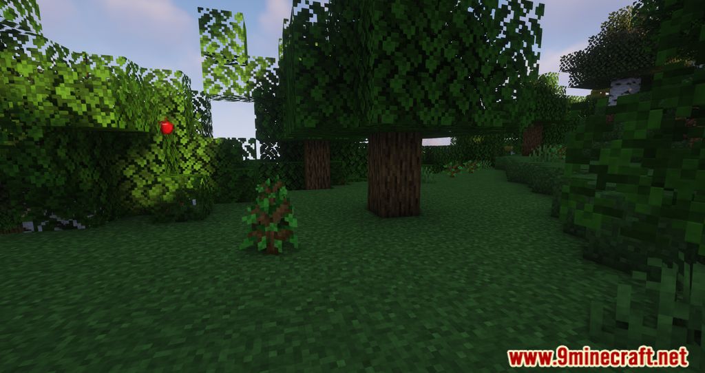 Auto Planting Forests Mod (1.20.1, 1.19.4) - Introduces Automatic Tree Replanting 9