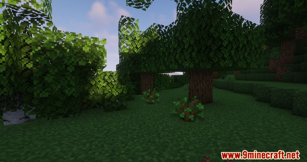 Auto Planting Forests Mod (1.20.1, 1.19.4) - Introduces Automatic Tree Replanting 10