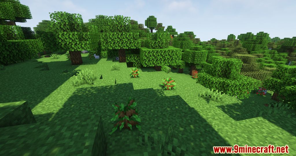 Auto Planting Forests Mod (1.20.1, 1.19.4) - Introduces Automatic Tree Replanting 11