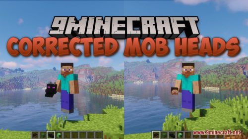 Corrected Mob Heads Resource Pack (1.21, 1.20.1) – Texture Pack Thumbnail