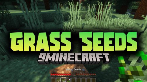 Grass Seeds Mod (1.21, 1.20.1) – Change The Color Of The Dirt Blocks Thumbnail