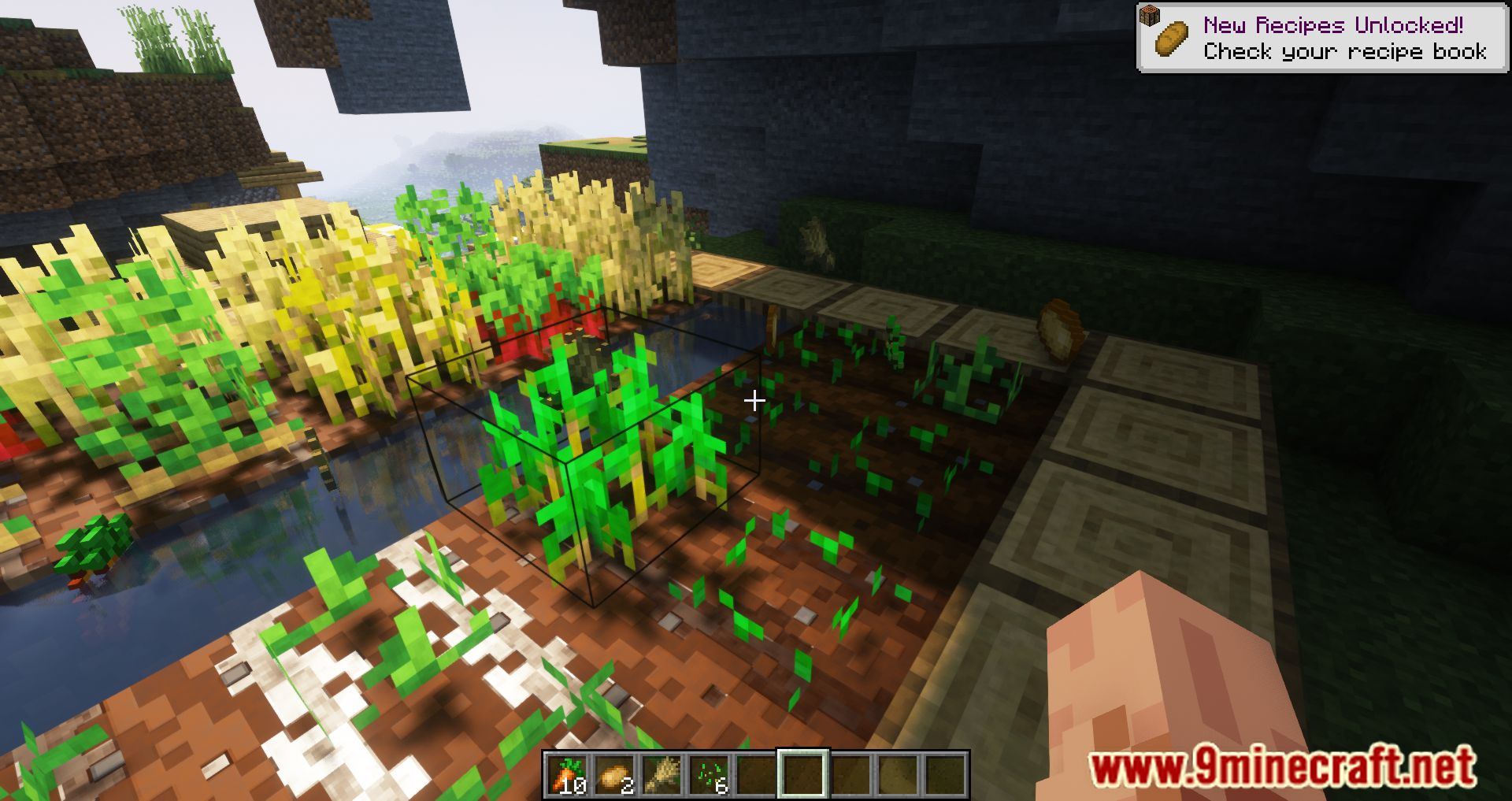 Right-Click Harvest Mod (1.20.2, 1.19.4) - Harvesting Automatically 6