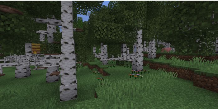 Nature Expansion Addon (1.19, 1.18) - MCPE/Bedrock Mod 5