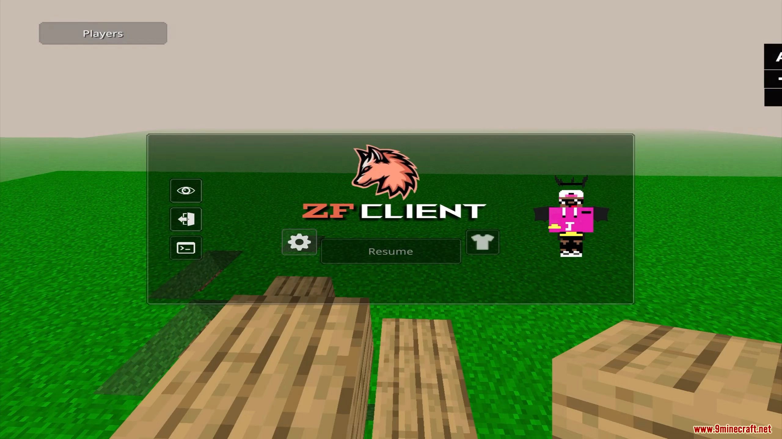 ZF Client (1.19, 1.18) - Freelook, Direction HUD, Cosmetics, FPS Boost 3