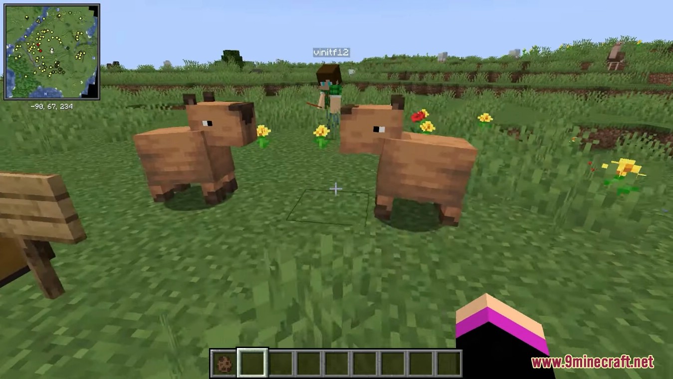 Creatures From The Warmths Mod (1.18.2) - Riding Camel 2