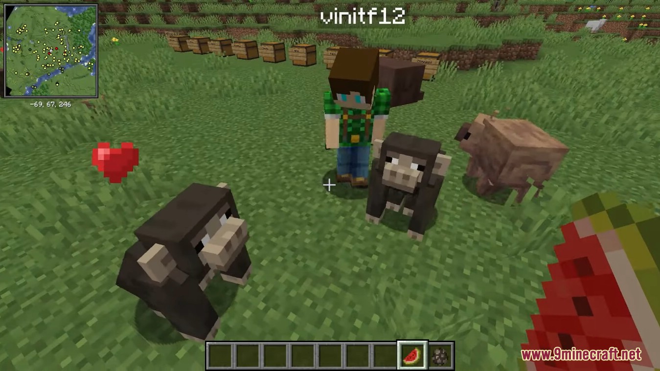 Creatures From The Warmths Mod (1.18.2) - Riding Camel 11