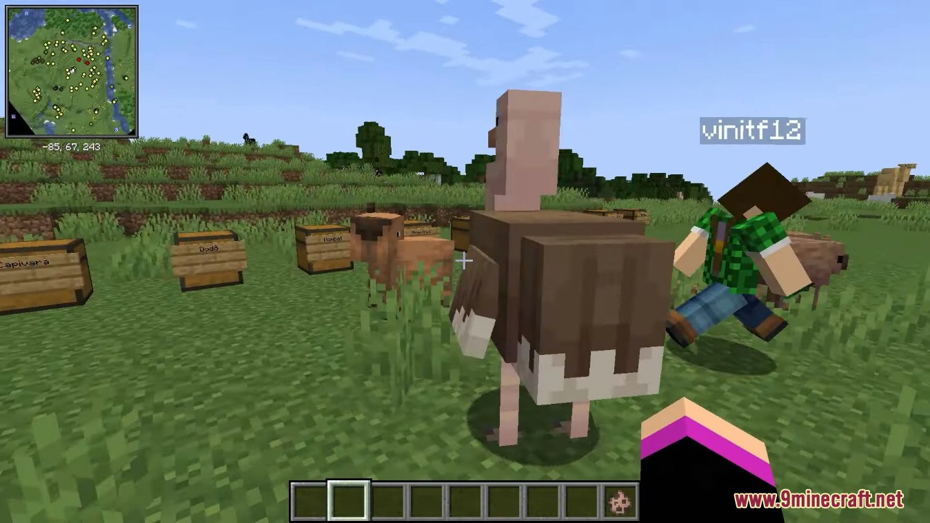 Creatures From The Warmths Mod (1.18.2) - Riding Camel 5