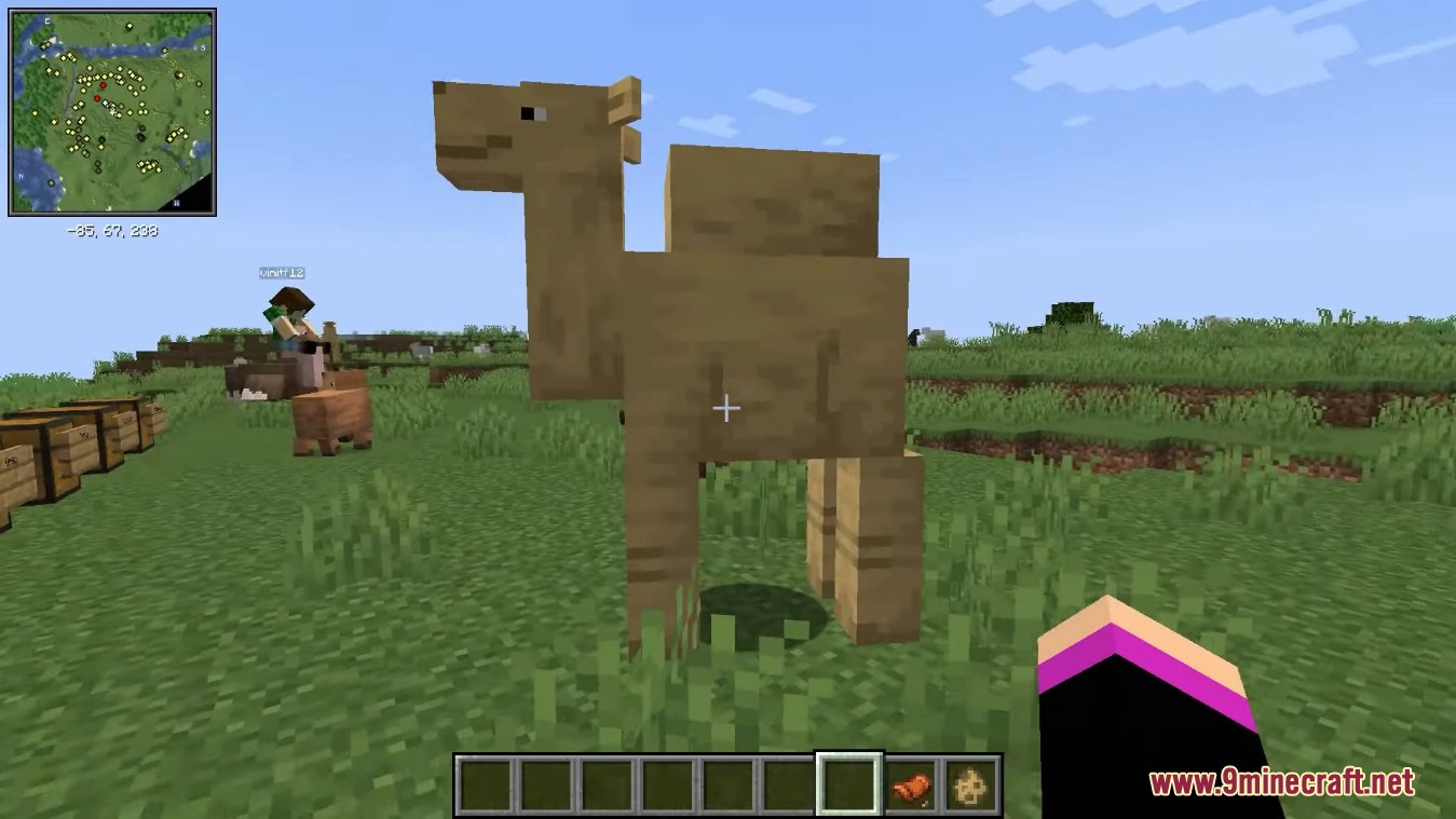 Creatures From The Warmths Mod (1.18.2) - Riding Camel 7