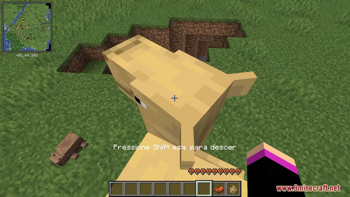 Creatures From The Warmths Mod (1.18.2) - Riding Camel 8