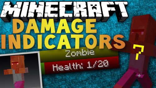 ToroCraft’s Damage Indicators Mod (1.19.2, 1.18.2) – Show Health Received Thumbnail