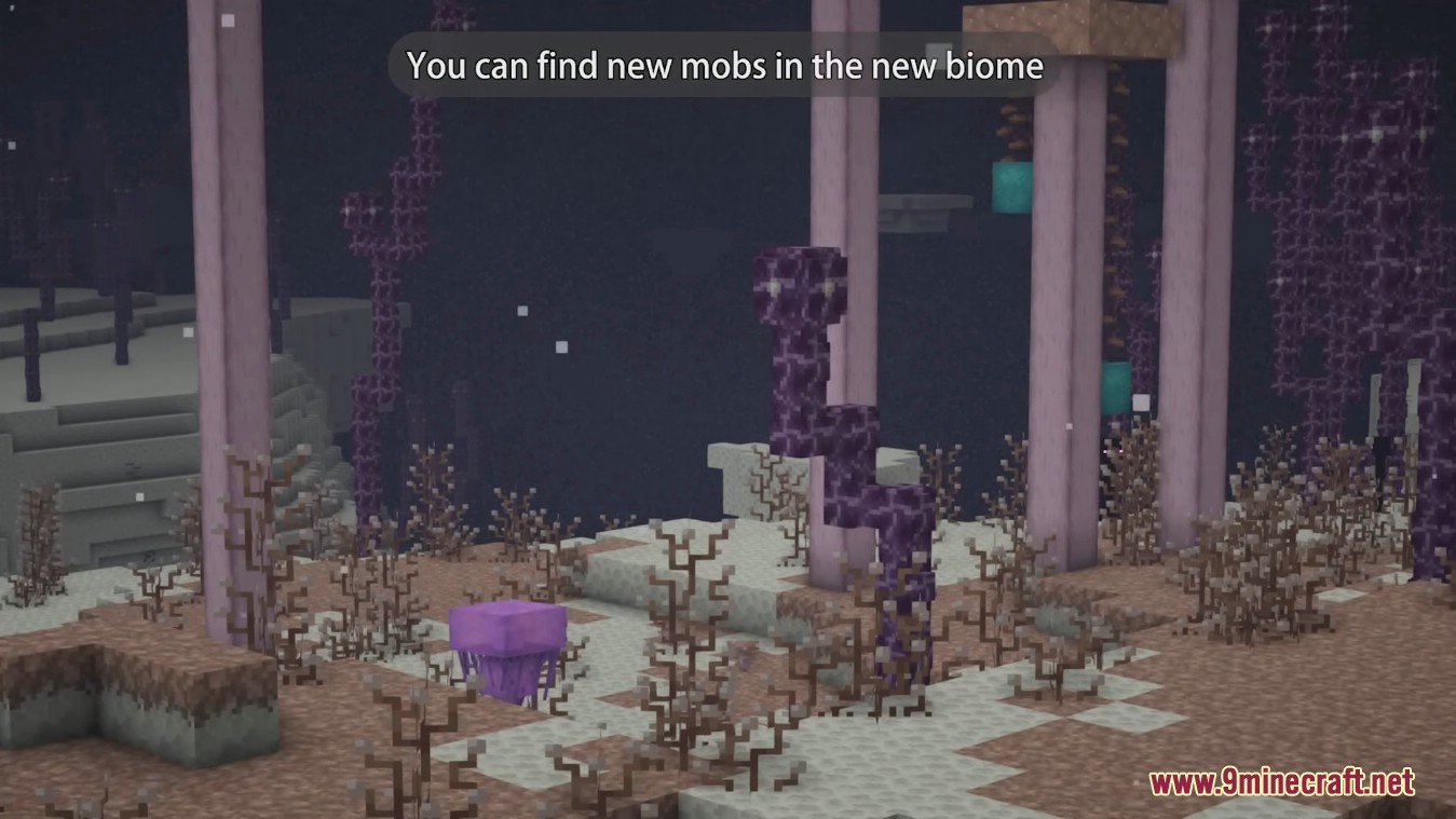 Enderscape Mod (1.19.2, 1.18.2) - New Content to The End 7
