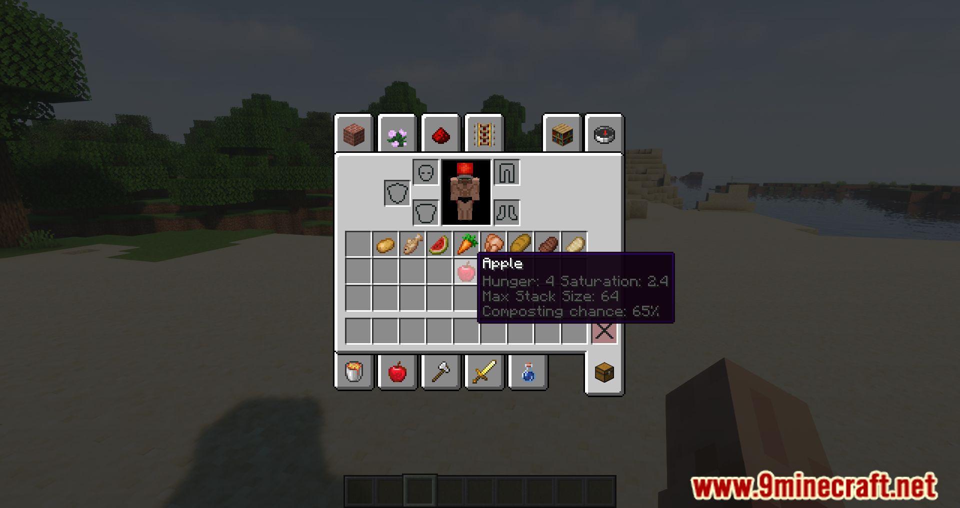 More Tooltips Mod (1.18.2, 1.17.1) - In-depth Information regarding Items 10