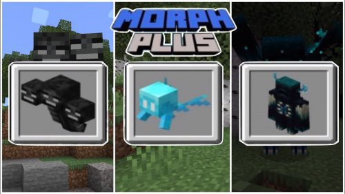 Morph Plus Addon (1.19, 1.18) – MCPE/Bedrock Mod Thumbnail