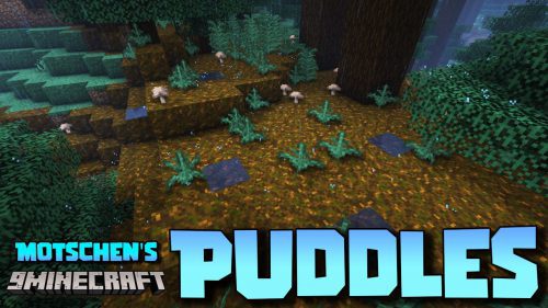 Motschen’s Puddles Mod (1.21.1, 1.20.1) – Weather Interactions Thumbnail