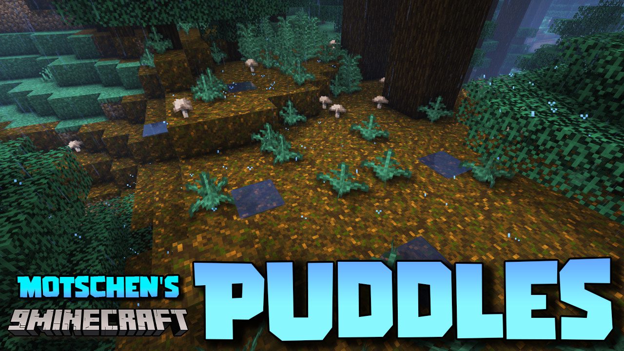 Motschen's Puddles Mod (1.19.3, 1.18.2) - Weather Interactions 1