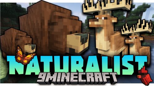 Naturalist Mod (1.20.1, 1.19.2) – The Wildlife is Here Thumbnail