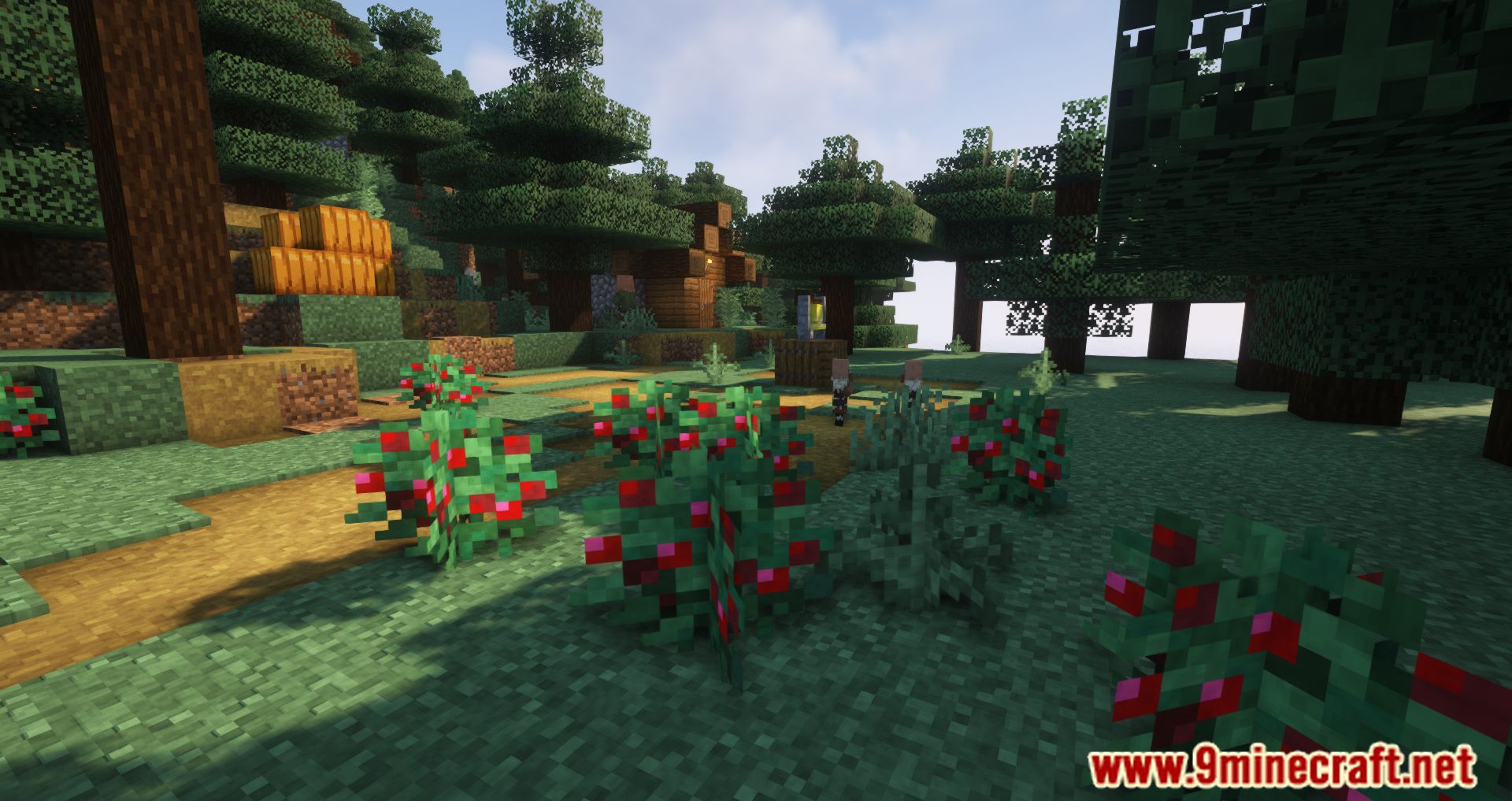 Paxi Mod (1.20.4, 1.19.4) - Reduce Data Packs and Resource Packs Loading Speed 8