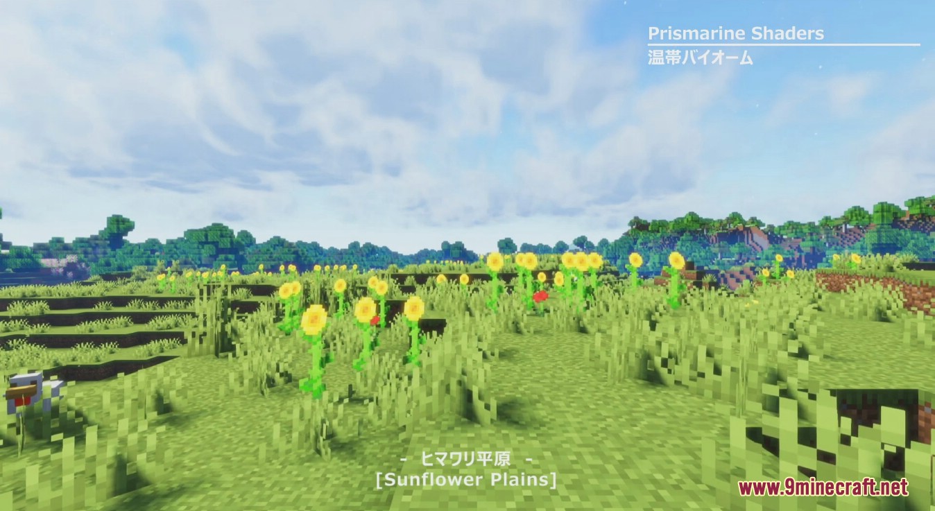 Prismarine Shaders (1.21.1, 1.20.1) - A BSL Edit Shader 7