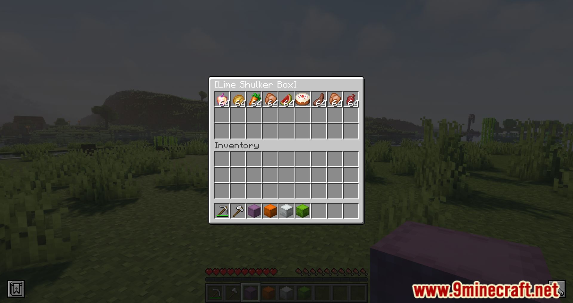 Shulker Tooltip Mod (1.19.4, 1.18.2) - Learning about the Shulker 3